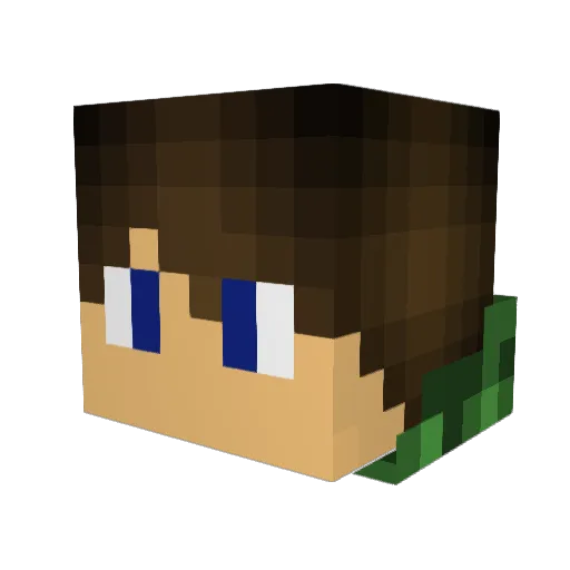Sorcererking99 Minecraft avatar head, 3D render