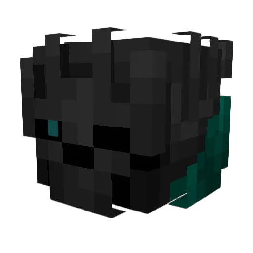 SorcierNinja Minecraft avatar head, 3D render