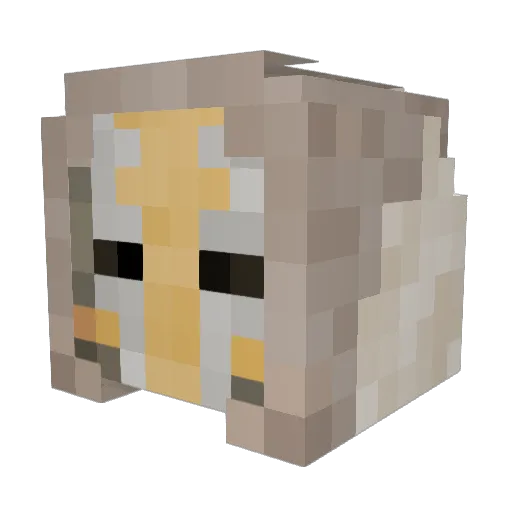 Soreledeconneur Minecraft avatar head, 3D render