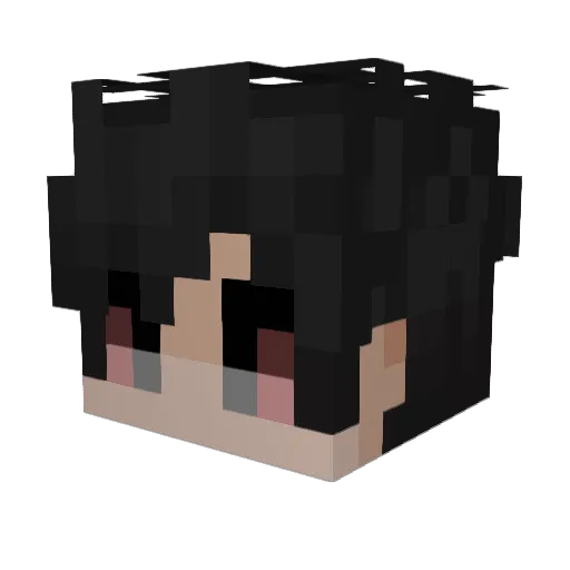 Sorely Minecraft avatar head, 3D render