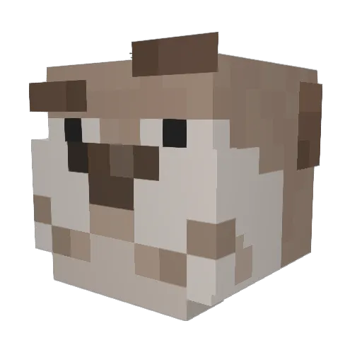 Soroel Minecraft avatar head, 3D render