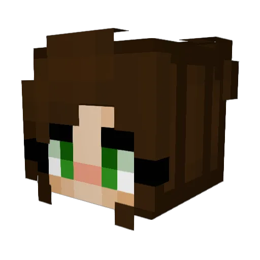 SororSolis Minecraft avatar head, 3D render