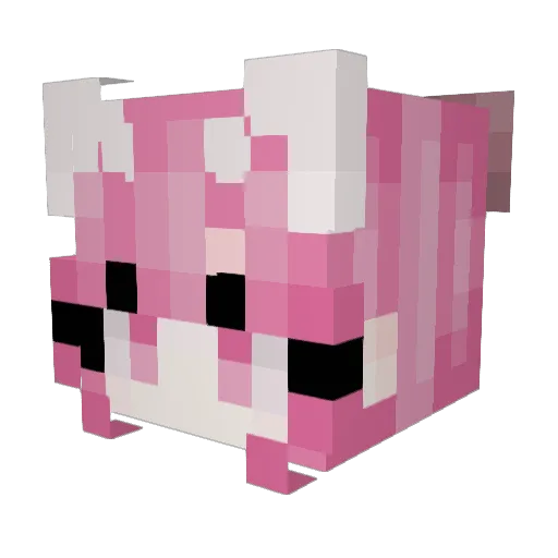 Sorpheny Minecraft avatar head, 3D render