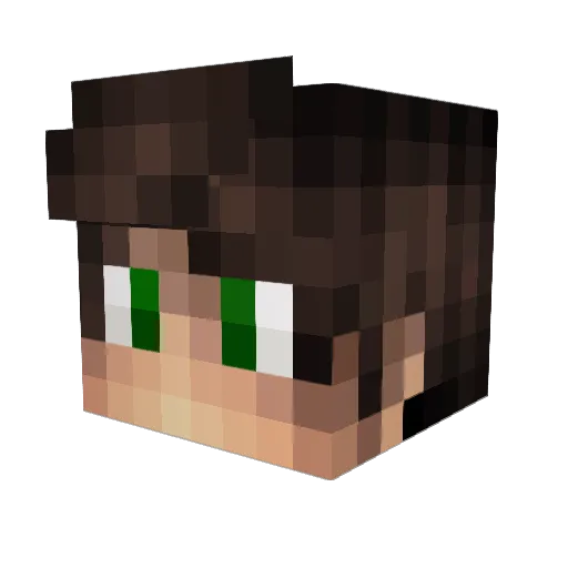 Sorr_Sam Minecraft avatar head, 3D render