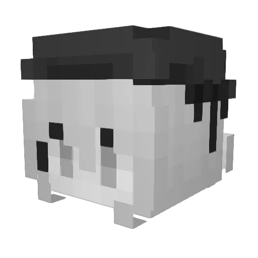 Sorraii Minecraft avatar head, 3D render