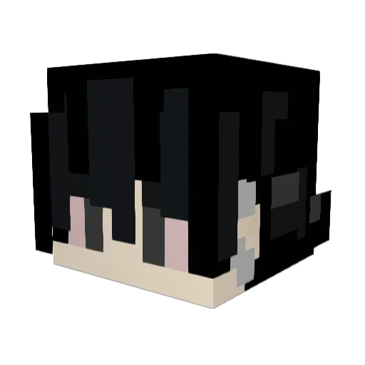 Sorrannn Minecraft avatar head, 3D render