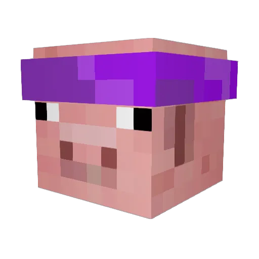 Sorrisinho069 Minecraft avatar head, 3D render