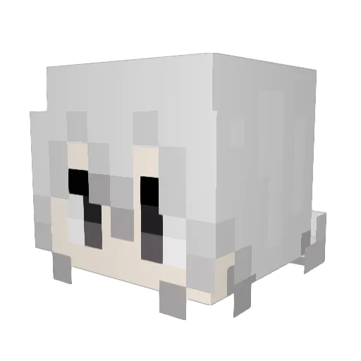 SorrowWTF Minecraft avatar head, 3D render