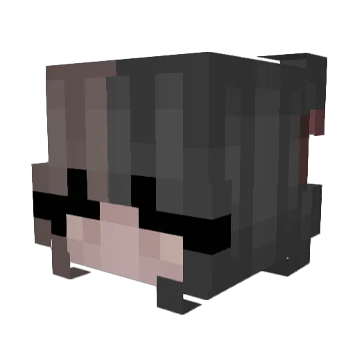 SorrowWolf78 Minecraft avatar head, 3D render