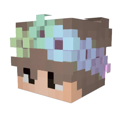 Sorry4MyRodSpam Minecraft avatar head, 3D render