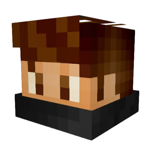SorryHypixel Minecraft avatar head, 3D render