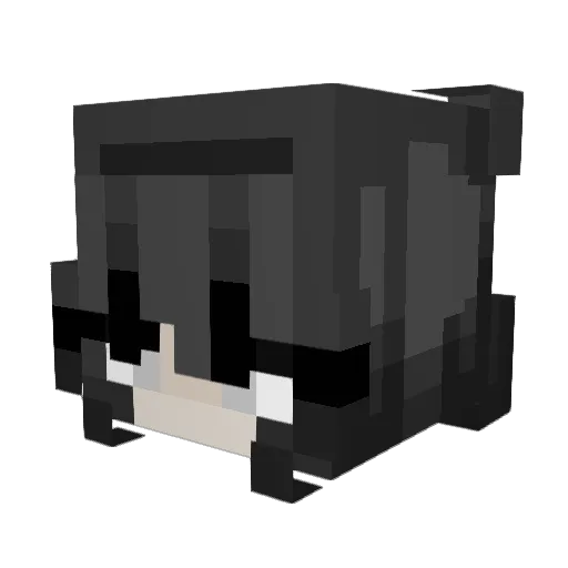 SorryIWin04 Minecraft avatar head, 3D render