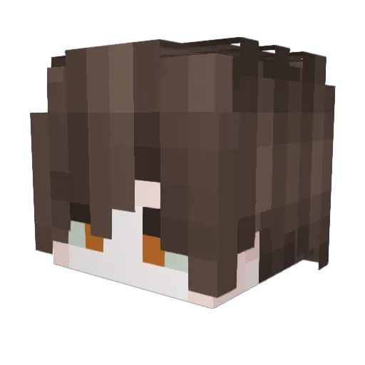 Sorun44 Minecraft avatar head, 3D render