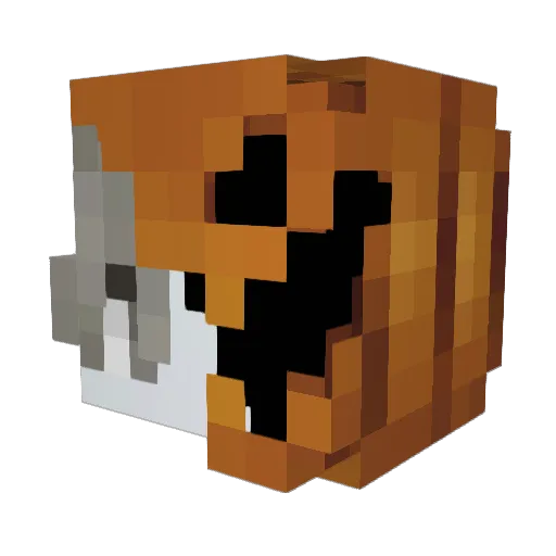 Soryb Minecraft avatar head, 3D render