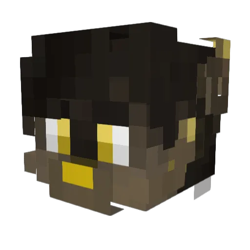 SosAltoRancio1 Minecraft avatar head, 3D render
