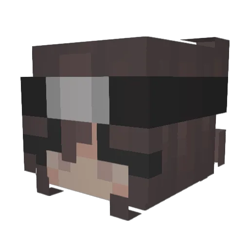 Sosa213 Minecraft avatar head, 3D render