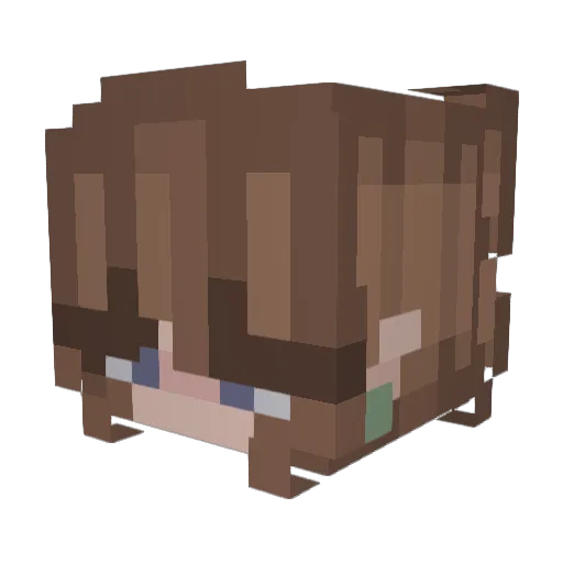 Soso2k19 Minecraft avatar head, 3D render