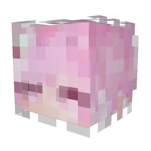 SosoFish_glub Minecraft avatar head, 3D render