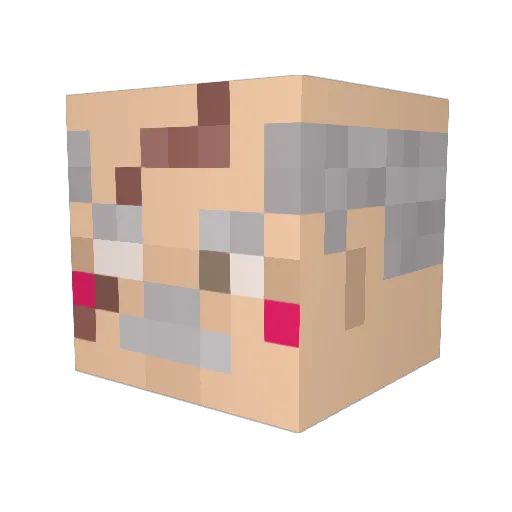 Soso_flexi Minecraft avatar head, 3D render