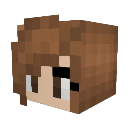Sosodu07 Minecraft avatar head, 3D render