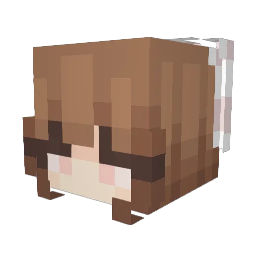 Sosoklein15 Minecraft avatar head, 3D render