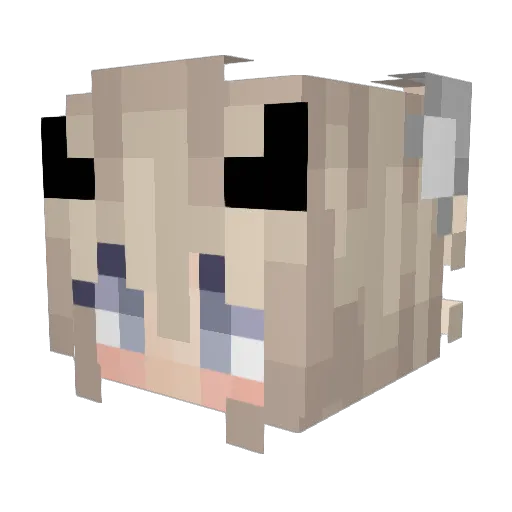Sosophs Minecraft avatar head, 3D render