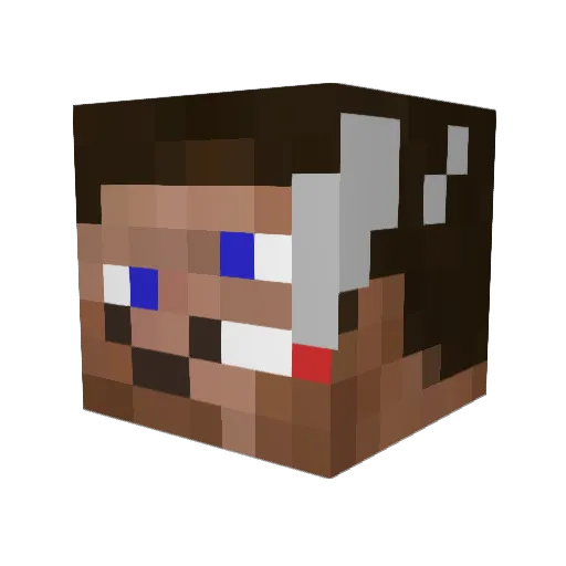 SotikCz1 Minecraft avatar head, 3D render