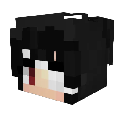 Sotsi Minecraft avatar head, 3D render
