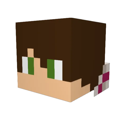 Sotumney Minecraft avatar head, 3D render