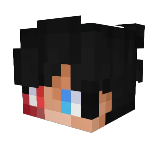 SouGG_ Minecraft avatar head, 3D render