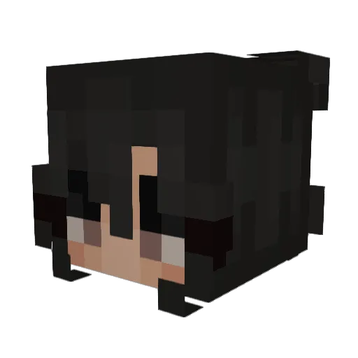 SouPatinha Minecraft avatar head, 3D render