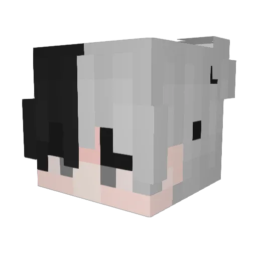 Sou_LUKE Minecraft avatar head, 3D render
