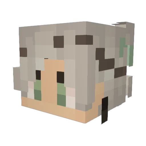 Soubert Minecraft avatar head, 3D render