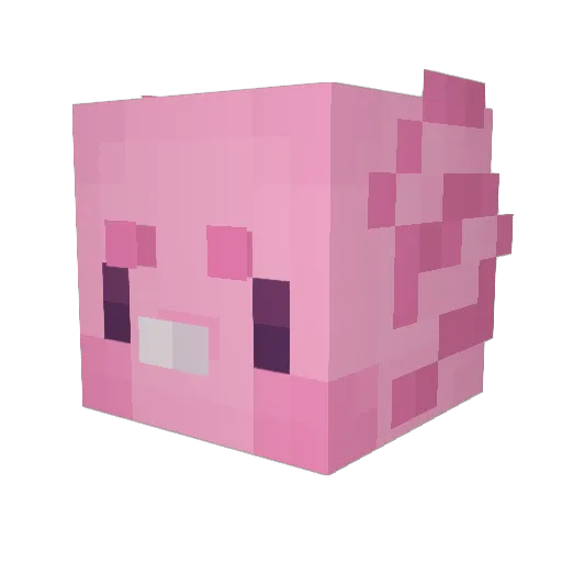 SouchiBagg Minecraft avatar head, 3D render