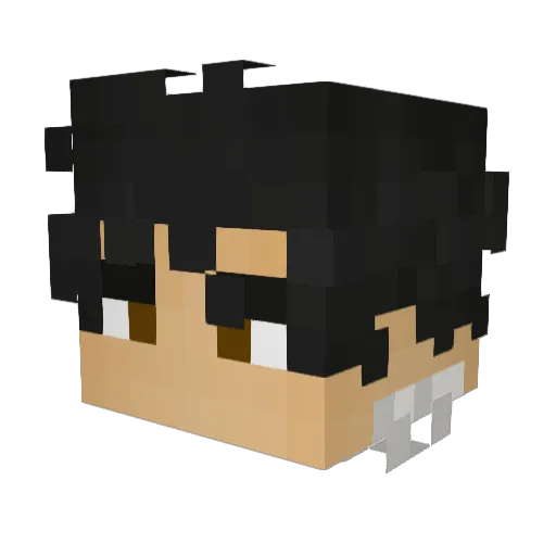 Souiiiii Minecraft avatar head, 3D render