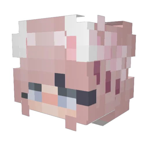 Soukarii Minecraft avatar head, 3D render