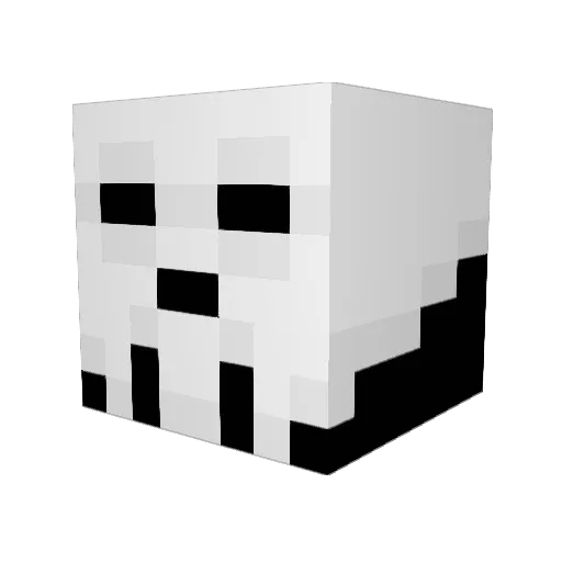 Soul0021 Minecraft avatar head, 3D render