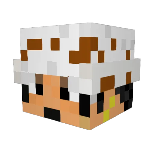 Soul366 Minecraft avatar head, 3D render