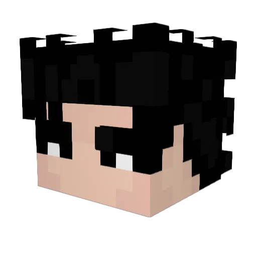 SoulDrag Minecraft avatar head, 3D render