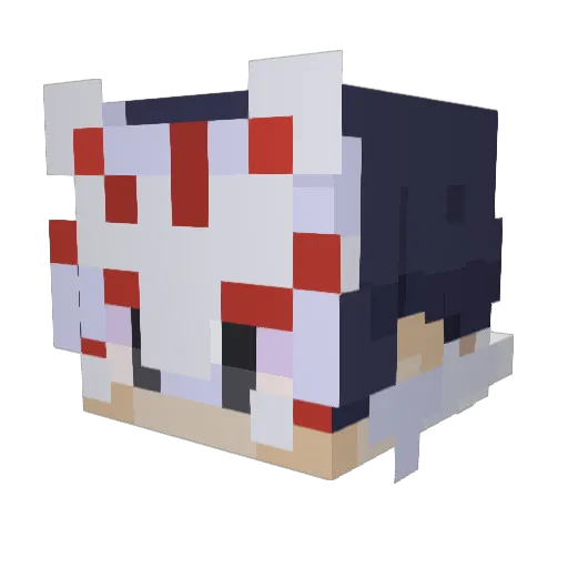 SoulEater_uwu Minecraft avatar head, 3D render