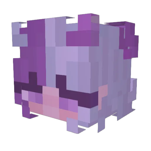 SoulFire22 Minecraft avatar head, 3D render