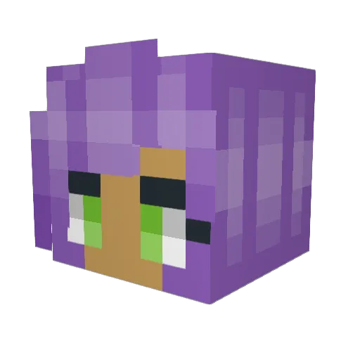 SoulHealer108 Minecraft avatar head, 3D render