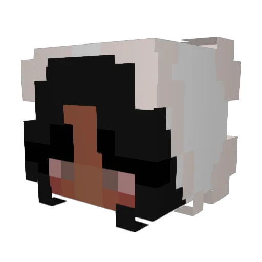 SoulKeeper2324 Minecraft avatar head, 3D render