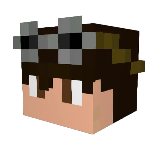 SoulKestrel4482 Minecraft avatar head, 3D render