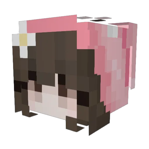 SoulKillerxX Minecraft avatar head, 3D render