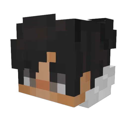 SoulKnight_ Minecraft avatar head, 3D render