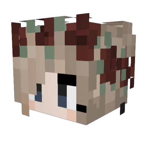 SoulLution Minecraft avatar head, 3D render