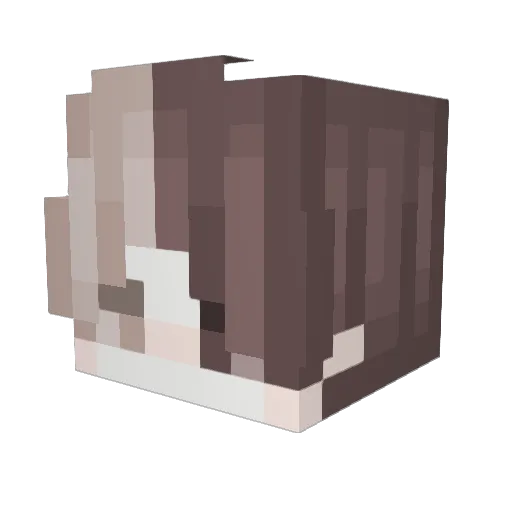 SoulMeister7 Minecraft avatar head, 3D render