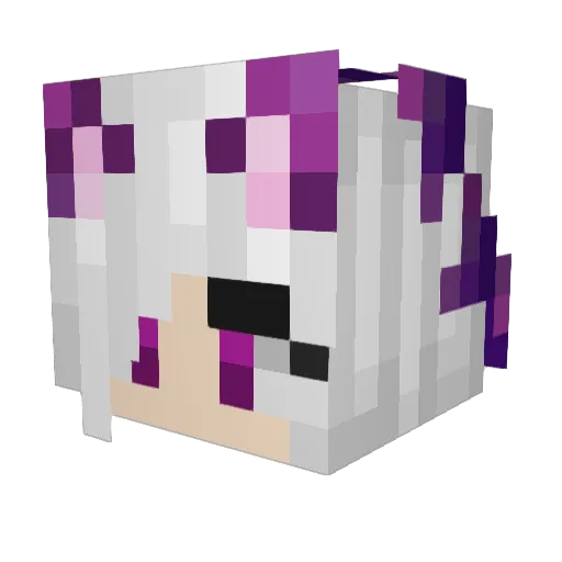 SoulMuncher17 Minecraft avatar head, 3D render