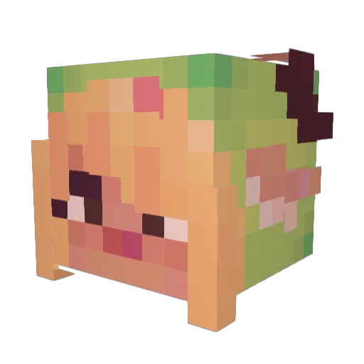 SoulOfPastLives Minecraft avatar head, 3D render